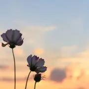 さく⭐️まとめ売り&フォロー割実施中！！