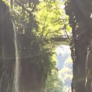 エアーの画像