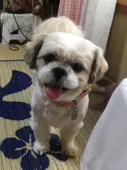 くるりん