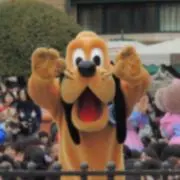 rsk3の画像