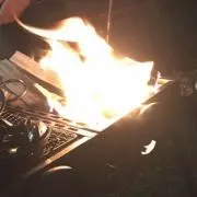まきの画像