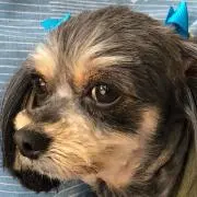 ヒロ
