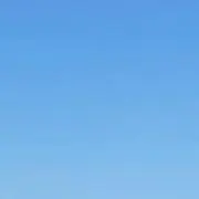 やまさんさん♀の画像