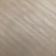 りの画像