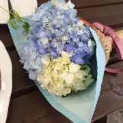 ほうれん草の画像