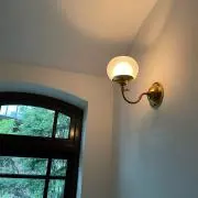 実の画像