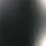 トナカイ