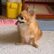 モリモリ