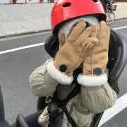 Chongliの画像