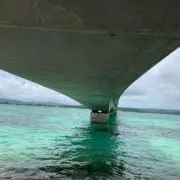 こぉらの画像