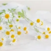 Image of しい