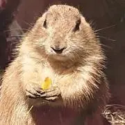 けい☆も♪ おまとめ割引あり