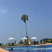 MARONEの画像