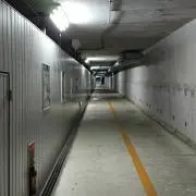 れおの画像