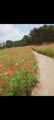 ゆっぴの画像