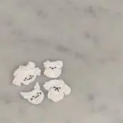 payaの画像