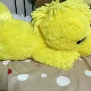 那智