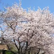 駿ママ