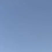 くるみ　即購入歓迎の画像