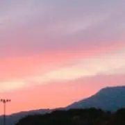 みゆの画像