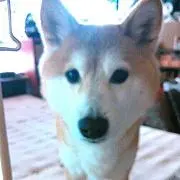 だいママ☆プロフ必読！