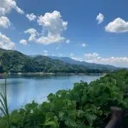 tetsulow13の画像