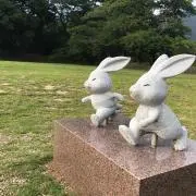こにまるの画像