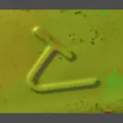 断捨離中のばあやの画像