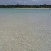 てぃも