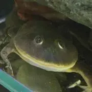 まー☆