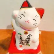 ポチポチの画像