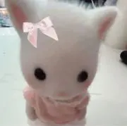 kyyyの画像