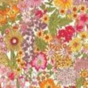 花*花の画像