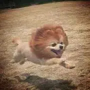 konの画像