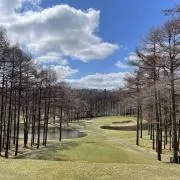 エムワイの画像