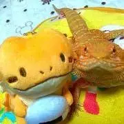 みこ プロフ必ず読んで！の画像