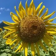 圭　プロフ読んでくださいね(^^)