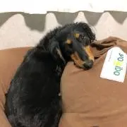 たろちんママの画像