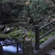 なつ