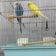 ひさなんの画像
