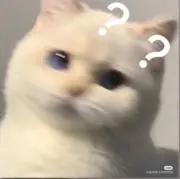 おもちの画像