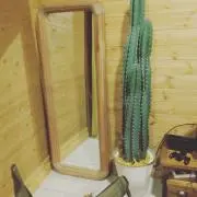 きゅうの画像