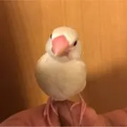 たっつんの画像