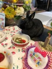 ペローナ