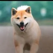 いっこう