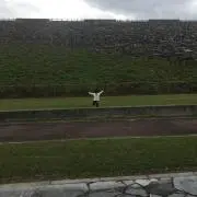 。