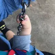 レイ