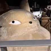 もとの画像