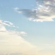 柴犬【同時購入でお値下げ可能】の画像