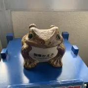 ミケの画像